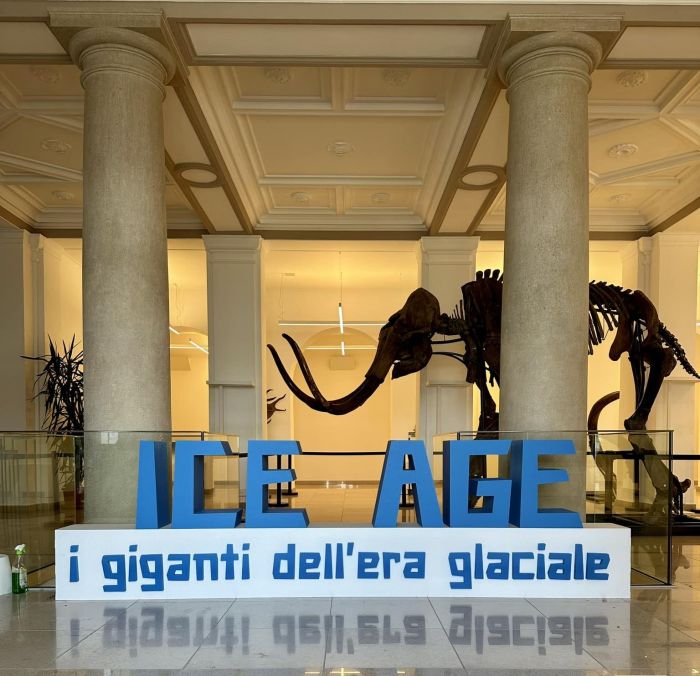 Nel weekend l'amatissimo mammut sarà esposto nel centro di piazza Unità! 