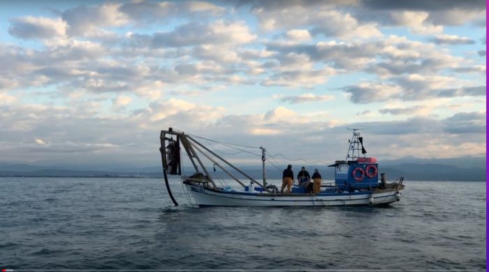 OGS, nuovo modello per capire come si sposteranno le specie marine col cambiamento climatico