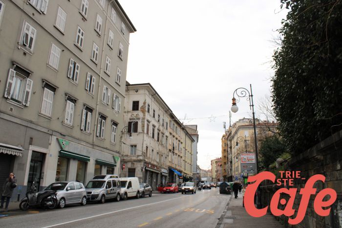 Trieste, la segnalazione di un lettore: “Centro abbandonato, mancano controlli e rispetto delle regole”
