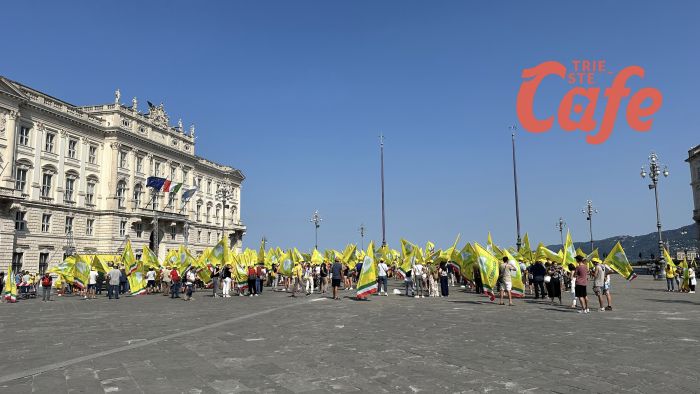 Cinghiali e cervi mettono in ginocchio le coltivazioni: mobilitazione Coldiretti Fvg