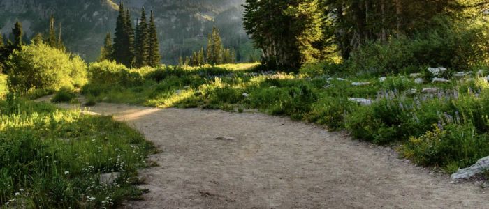 Assestamento, Forza Italia: un milione e 100mila euro per la messa in sicurezza delle strade in montagna