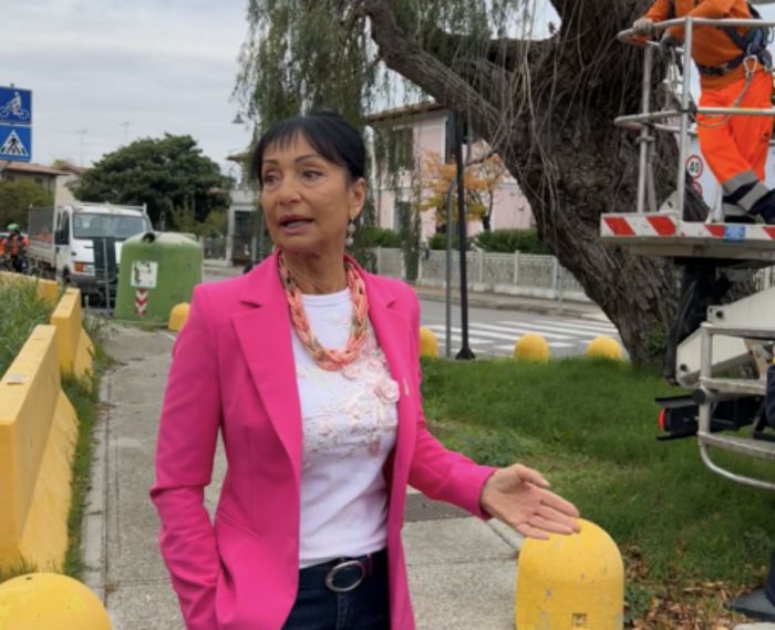 Monfalcone saluta il Salice simbolo di Panzano e accoglie la nuova vita che da esso nascerà