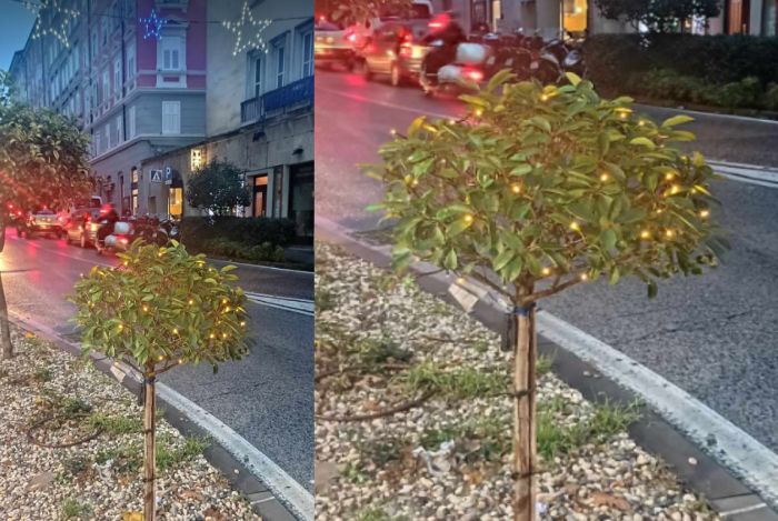 Decorati alcuni alberelli della rotonda di San Giacomo, Natale più gioioso nel rione