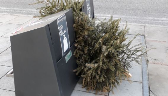 Cosa succede agli addobbi natalizi quando finiscono le feste (ANCHE A TRIESTE)? 