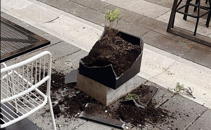 Vandalizzate nella notte le fioriere di un locale in via San Lazzaro  