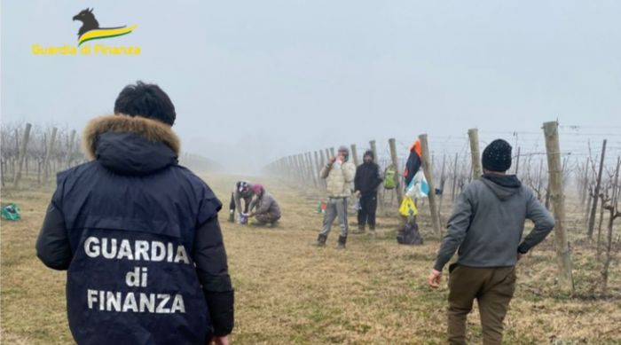 Scoperti nei campi 5 lavoratori in nero tutti indiani: sospese 2 aziende agricole, raffica di sanzioni da migliaia di euro!