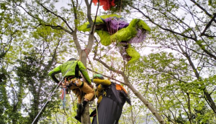 Parapendista precipita e rimane impigliato su un albero: salvo