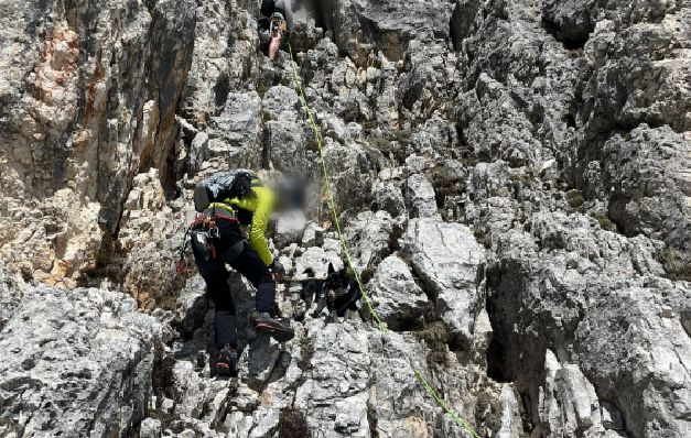 Recuperato cagnolino in parete, lo salva il soccorso alpino