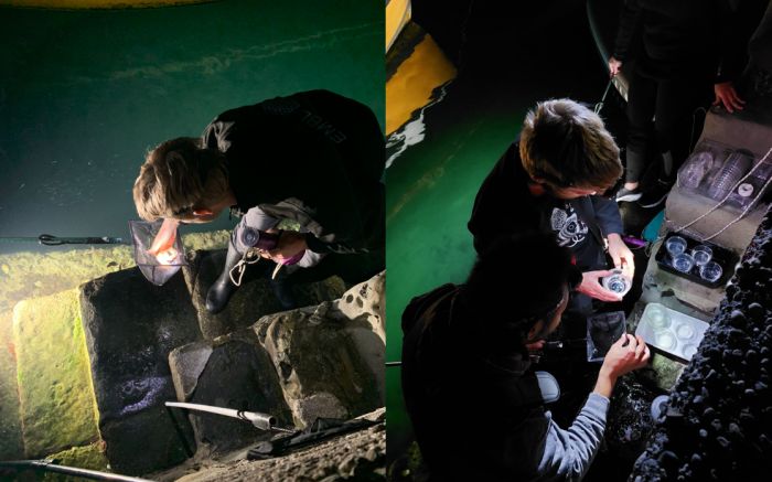 La spedizione internazionale per studiare gli ecosistemi costieri fa tappa a Trieste