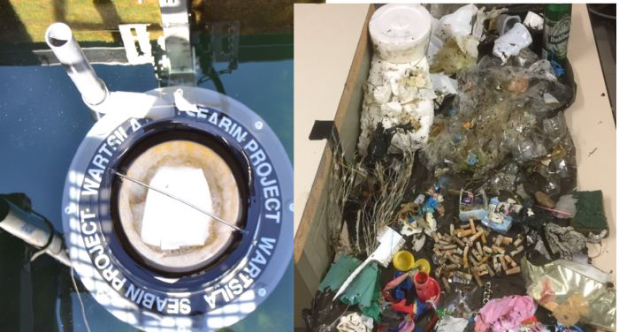 A Trieste il cestino del mare raccoglie 128 chili di plastica
