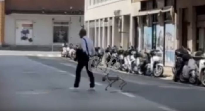 Via Milano, a passeggio con il cane-robot! (VIDEO) 