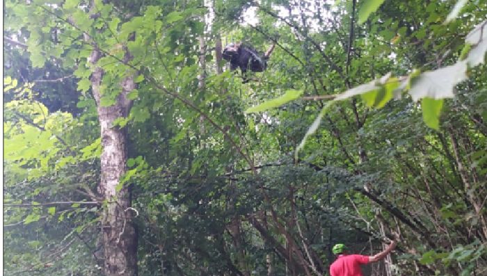 Parapendista impigliato su albero in Fvg, soccorso alpino interviene riportandolo a terra 
