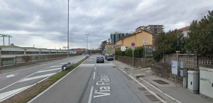 Gatto investito in via Flavia: il commovente salvataggio di una micia ferita, è grave