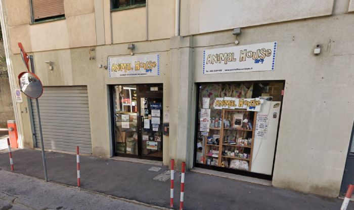 "Non tutte le battaglie si possono vincere": Animal House Shop chiude, Trieste perde un negozio storico