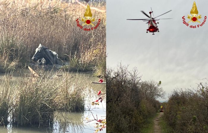 Staranzano, salvataggio straordinario: cavallo bloccato nel fango tratto in salvo dai Vigili del fuoco
