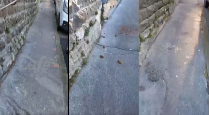 Triestini segnalano le condizioni di via Boegan e via Cozzi: marciapiedi dissestati e incuria (VIDEO)