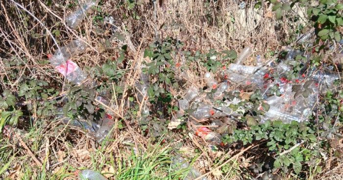 Strada del Friuli sommersa dai rifiuti: la denuncia di un triestino