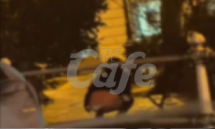Trieste sotto shock: defeca davanti a tutti in piazza Garibaldi, l’indignazione dei cittadini (VIDEO)