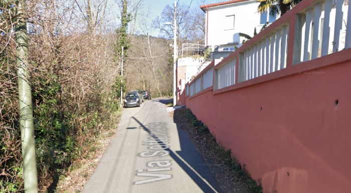Triste epilogo in via Sottomonte: micio investito nella notte a Roiano