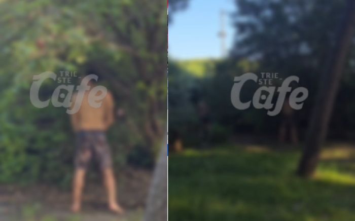 Pipì tra gli alberi a Barcola, Pineta latrina a cielo aperto: “Scene indecenti anche davanti ai bambini” (VIDEO)