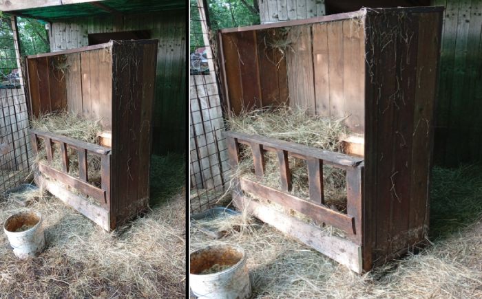 Allarme al rifugio “Il Mondo di Susanna”, ignoti manomettono la mangiatoia degli animali