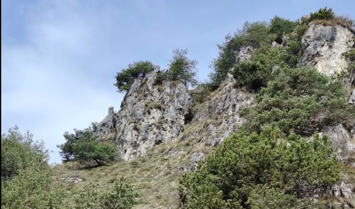 Tragedia in Trentino: uomo precipita per 200 metri e muore durante la costruzione di un capanno da caccia