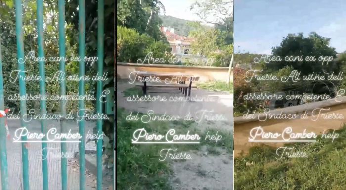 «Droghezzi e rischio fughe dai cancelli»: la segnalazione sull’area cani dell’ex OPP (VIDEO)