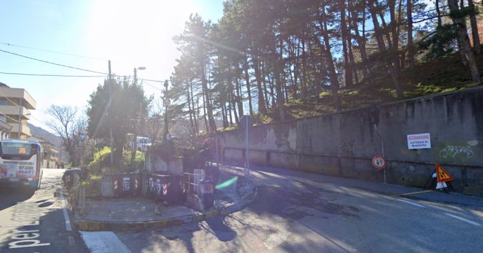 Cinghiali e rifiuti a via Levier, una residente denuncia: "Non è colpa degli animali ma dell'inciviltà"