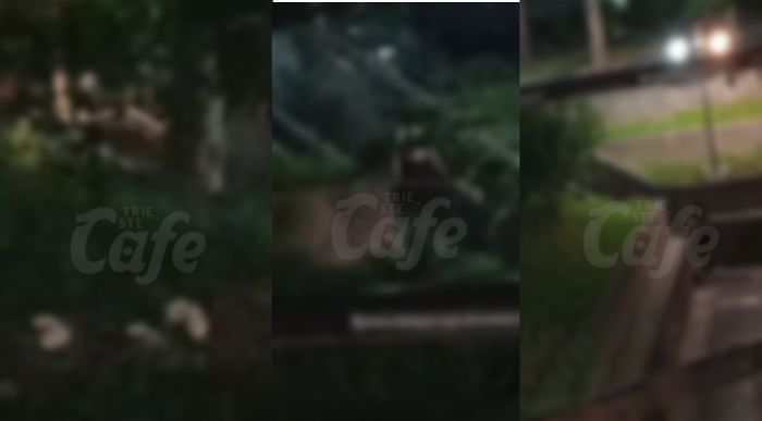 Urla nella notte in zona Ponziana: paura tra i residenti, ma si trattava solo di una lite (VIDEO)