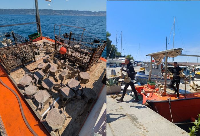 La balenottera del Golfo riaffiora dal fondale: recuperati i primi resti, sarà esposta alla Barcolana 2025 (VIDEO)