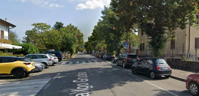 Tentano di rapire un gatto per ben due volte sull'Altipiano: la denuncia di una triestina