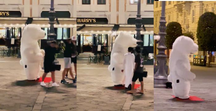 Un orso in piazza Unità: sorpresa e sorrisi nella notte triestina (VIDEO)
