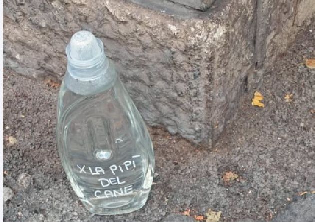 Trieste dà il buon esempio: in via Battisti una bottiglia “per la pipì del cane” diventa simbolo di civiltà urbana