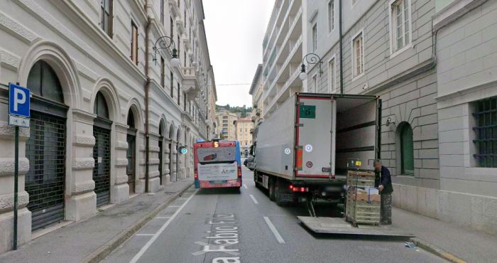 Cane impaurito corre tra le auto in via Filzi: cittadini si mobilitano per salvarlo