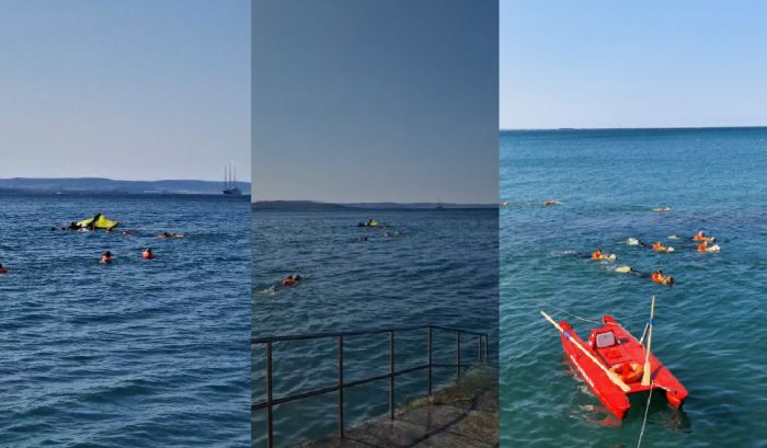 Trieste, il coraggio a quattro zampe: Scooby salva un ragazzo e scrive una pagina di eroismo (VIDEO)