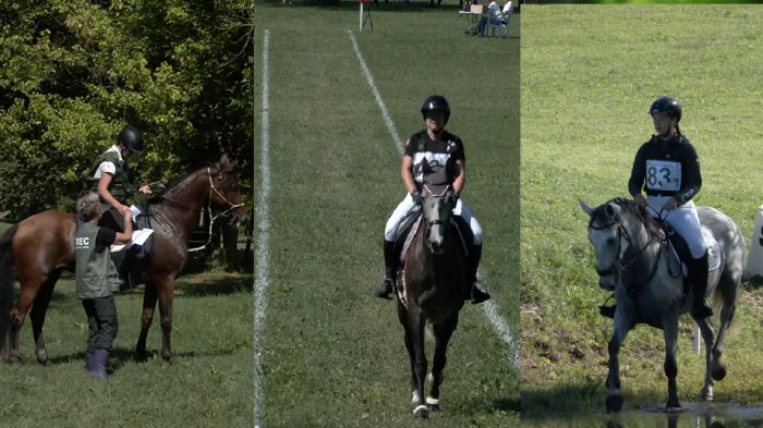 Trieste protagonista al Campionato Europeo di Trec 2025: giudici portano in alto l’Italia