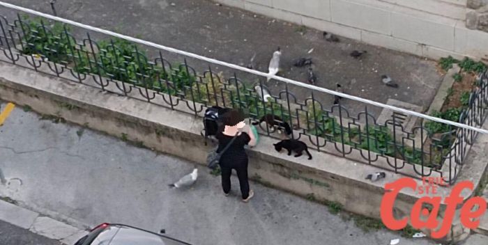 Rumore, rifiuti e ratti: all’alba Trieste si sveglia tra caos e inciviltà. L’allarme dei residenti del centro