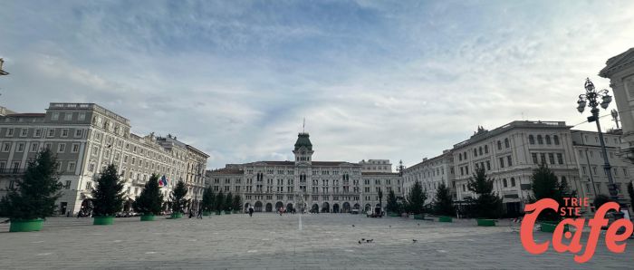 Installati tutti gli alberi in piazza Unità, che spettacolo!! TTUTTO PRONTO PER NATALE 