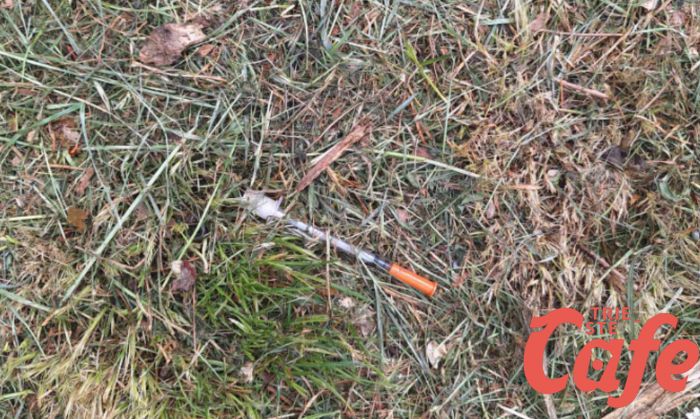 Degrado a San Giovanni, siringhe abbandonate tra i cespugli 