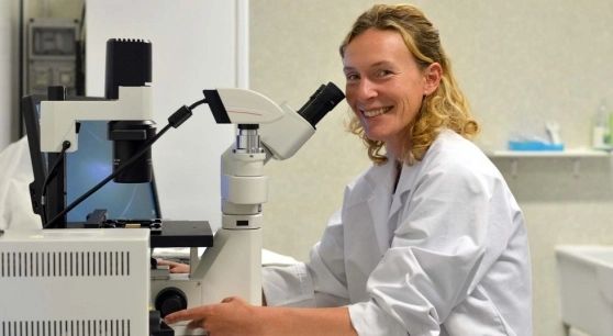 Rigenerare il cuore dopo infarto del miocardio: UniTS coordina un progetto internazionale