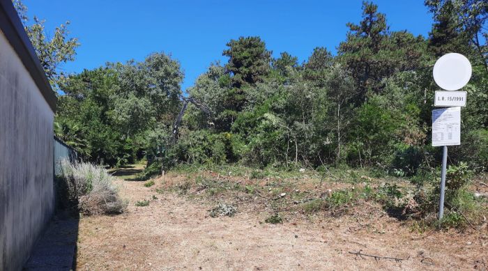 Monfalcone, piano di riqualificazione per la messa in sicurezza della vegetazione a ridosso di via Romana