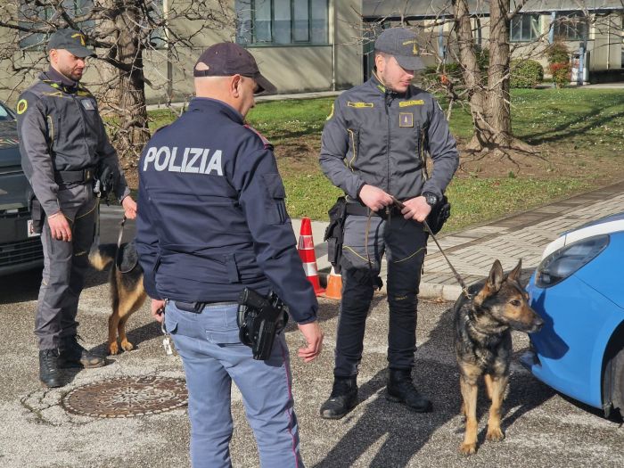 Blitz antidroga in una scuola del FVG: scappa con la droga, ma l’insegnante lo bracca!