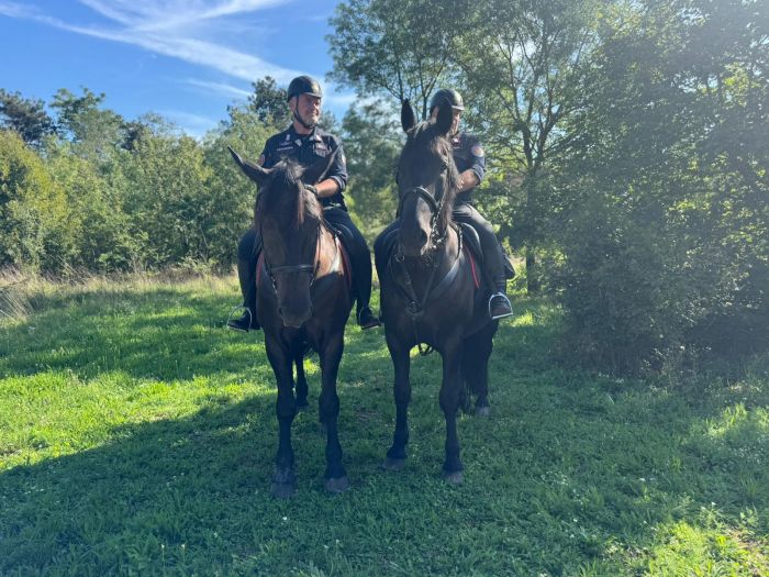 Carso triestino, pattuglie ippomontate: i carabinieri forestali in sella per la tutela del territorio