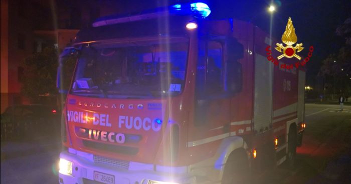 Via Visinada chiusa per la caduta di un albero: disagi alla circolazione verso il PalaChiarbola