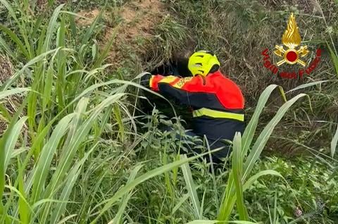 Asolo, trovata priva di vita la donna di cui non si avevano notizie da due giorni