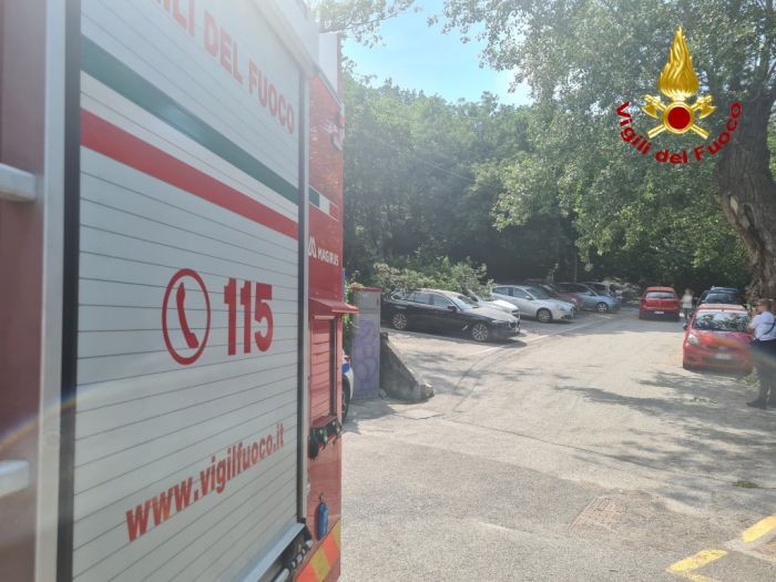 Camion prende fuoco in A4, uscita obbligatoria di Portogruaro per chi proviene da Trieste