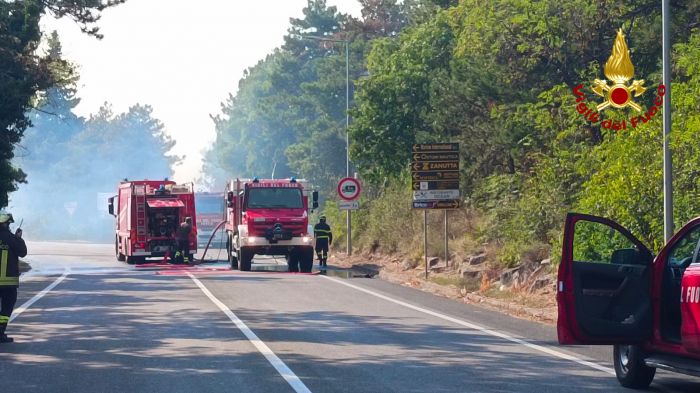 Incendio in zona Monfalcone, vigili del fuoco in azione per spegnere le fiamme sul Carso (VIDEO)