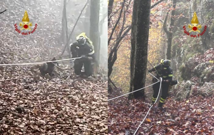 Lampo caduto in dirupo di oltre 40 metri, recuperato e salvato dai vigili del fuoco! (VIDEO)