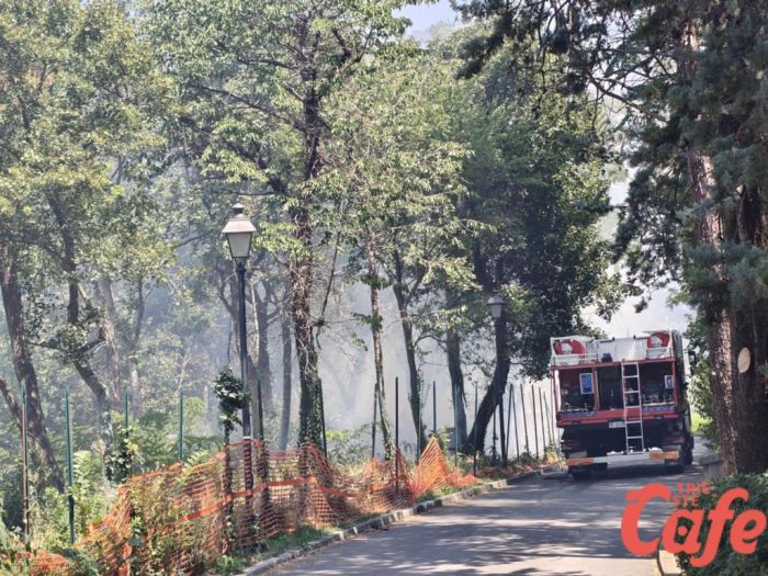 Incendio nel Parco di San Giovanni, sul posto i Vigili del Fuoco