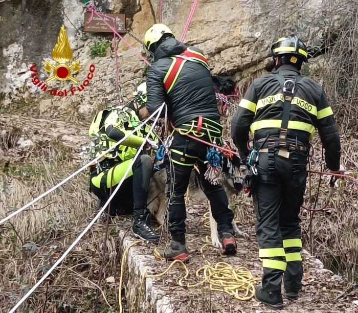 Tragedia evitata in Fvg, cane salvato dai Vigili del Fuoco dopo una caduta pericolosa